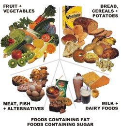 Healthy Nutrition