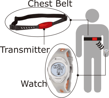 Heart Rate Monitoring    -  3
